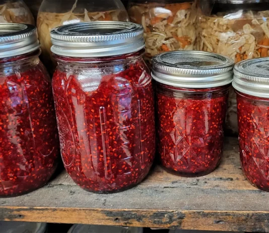 Easy Raspberry Jam Recipe for Canning