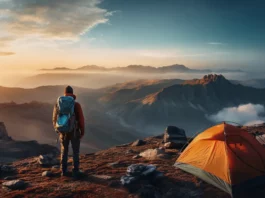 Survival Lessons You Can Learn from Going Camping